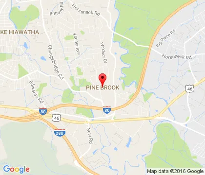 logo-image - PineBrook-NJ